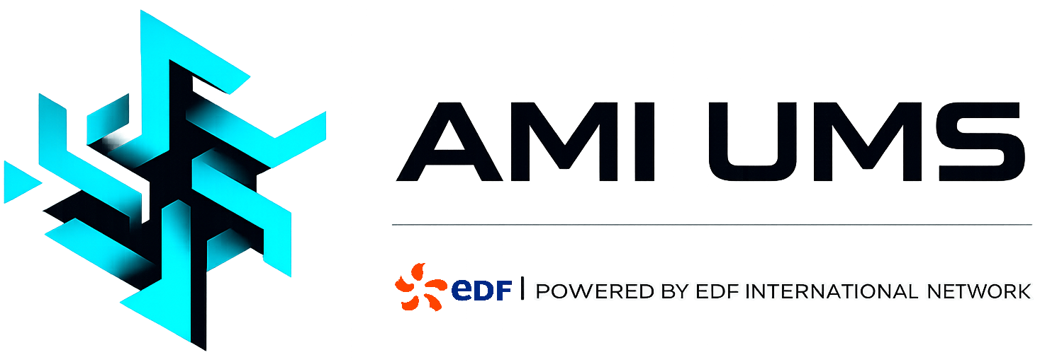 AMI UMS